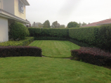 Rukuhia Homestead Landscaping - low maintenance garden