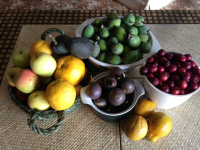 autumn fruit bowl harvest new zealand