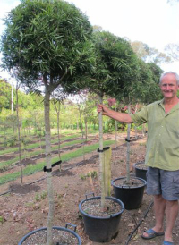 Gareme Burton with his Topiary Different creation.