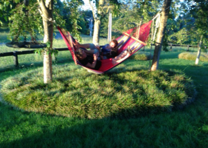 Create a hammock space at home! Rukuhia Homestead Landscaping