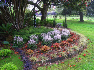 A sense of style - 7 October 2010 - Rukuhia Homestead Landscaping