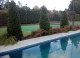 ILEX LAGO - Topiary columns make a real statement behind the pool.