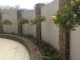 Perfectly matching CITRUS LIMECOCKTAIL topiary standards make an impressive feature in the  narrow garden circling this  patio  area.