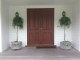 A perfectly matching pair of PODOCARPUS GRACILIOR topiary  standards at this front door entranceway.This plant is perfect specimen in low light areas, and the soft graceful  green foliage is highlighted beautifully by the cream walls