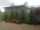 An eyecatching row of columnar specimens help to soften the  plain wall of this house