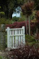 A colourful planting by the backyard gate